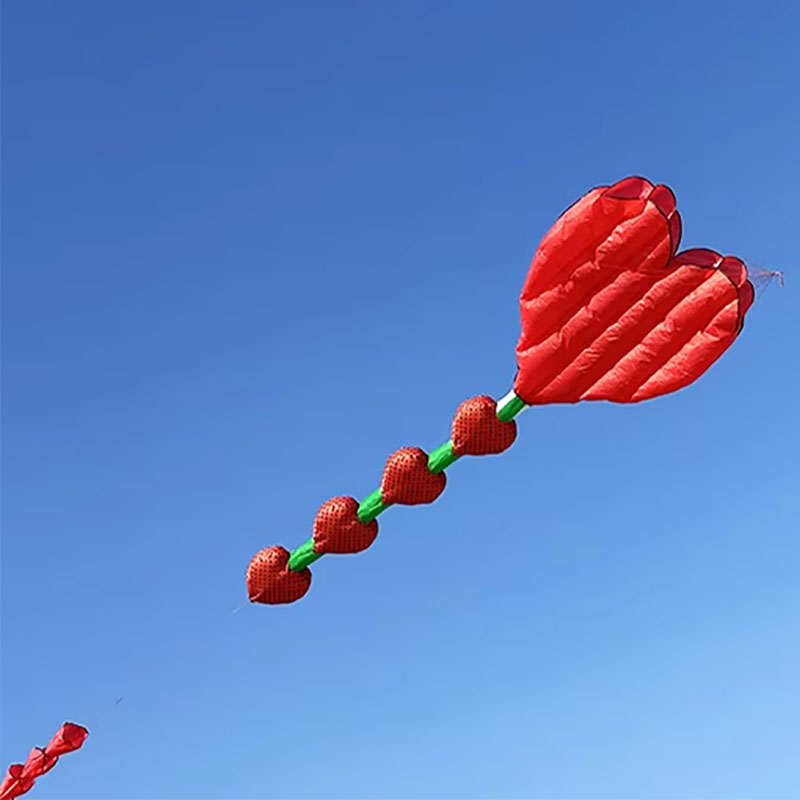 2026 New Heart Shape Kite Soft - Kids Outdoor Area 评论和价格